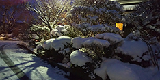 庭の積雪